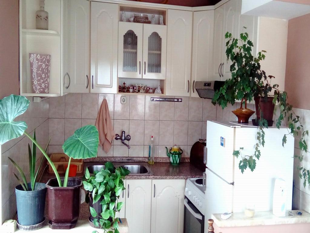 Apartment Luka Ohrid Rom bilde